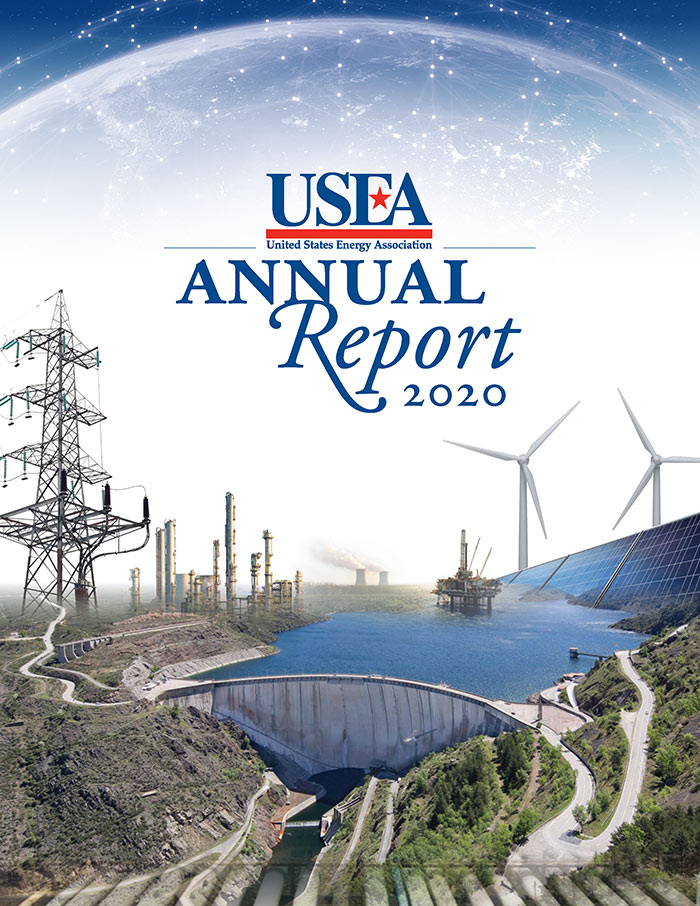 USEA 2020 Annual Report Cover