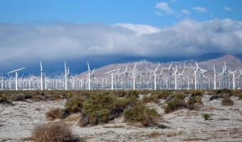 Wind farm renewable energy